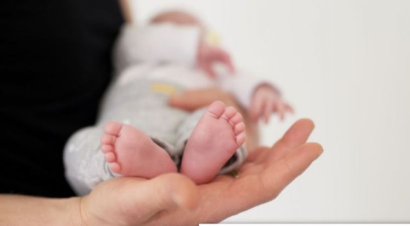 Especialista cruzó a Milei y desmintió que el aborto cause la baja de natalidad